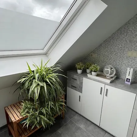 Apartment Cosy 1 Bedroom 900m From